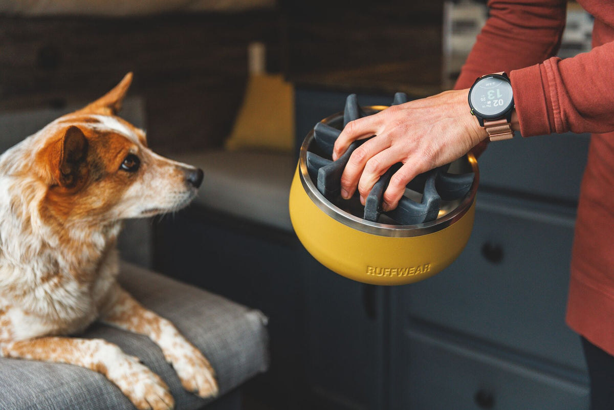Ruffwear Basecamp™ Slow Feeder Insert Basalt Gray
