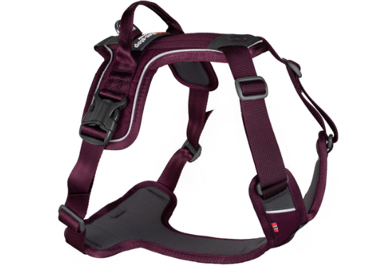 Non-stop dogwear Ramble Harness purple