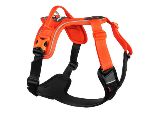 Non-stop dogwear Ramble Harness orange