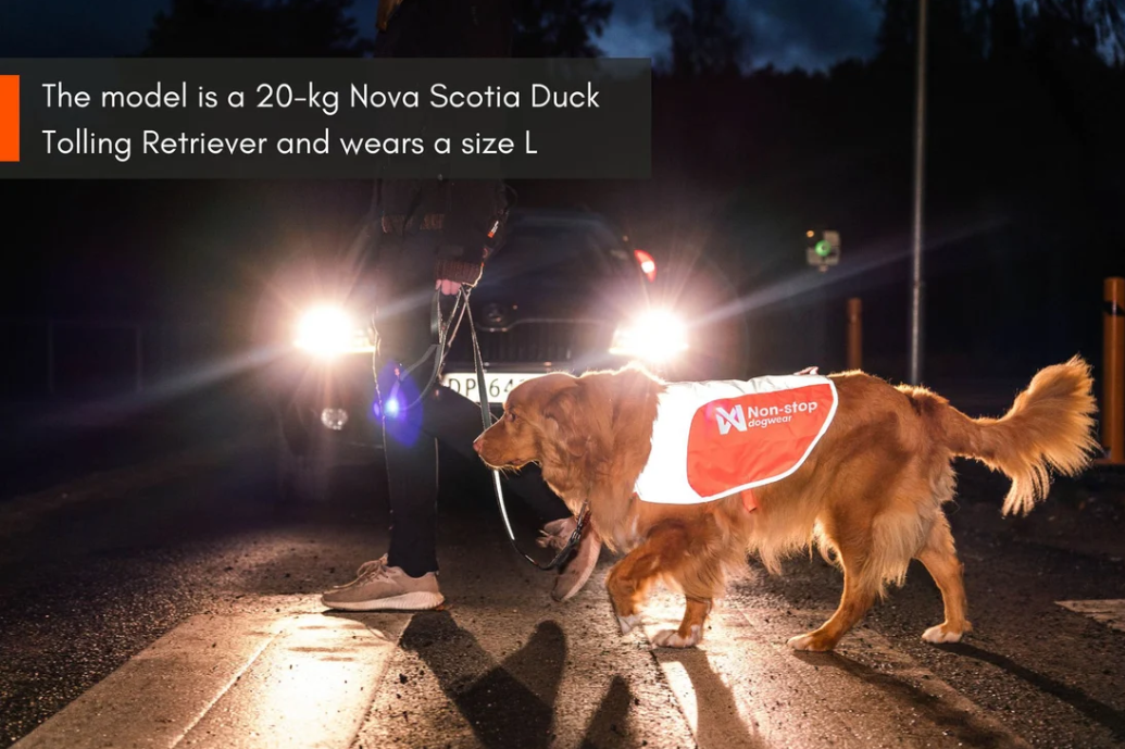 Non-stop dogwear Reflection Blanket