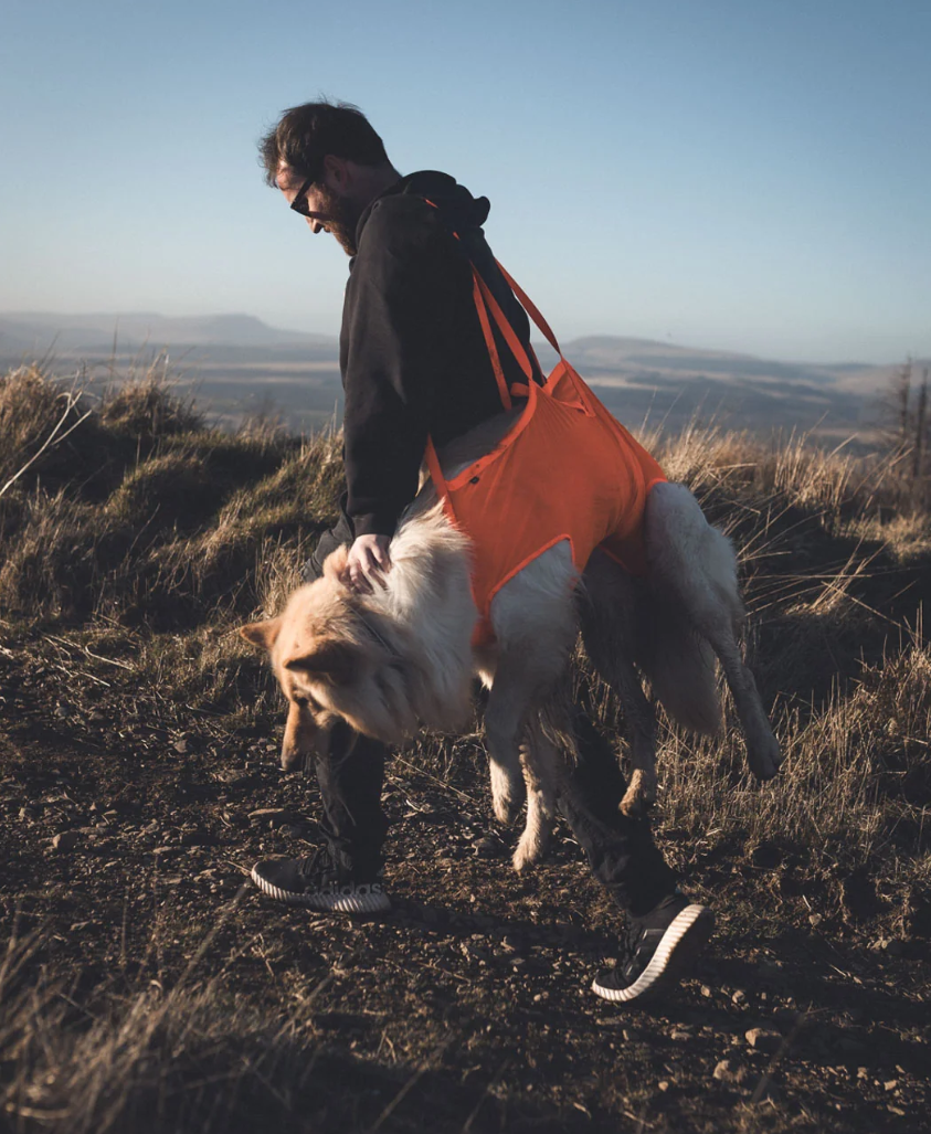 Non-stop dogwear Dog Rescue Sling orange