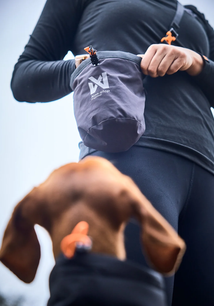 Non-stop dogwear Treat bag