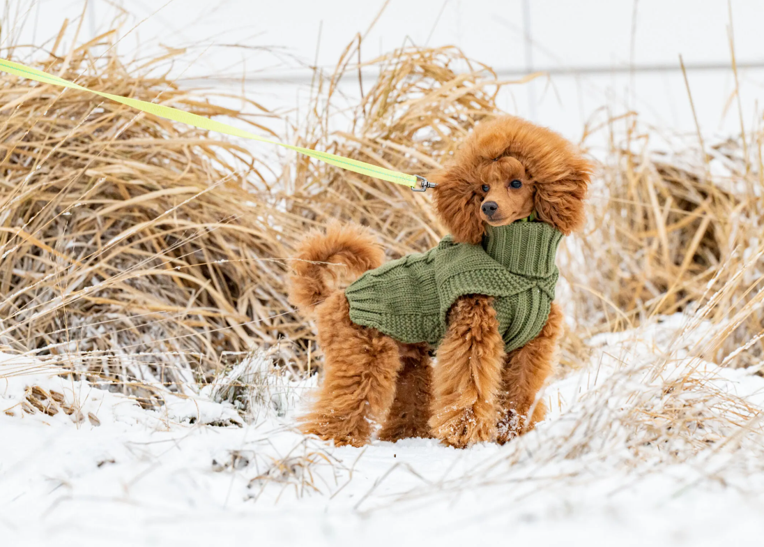 Rukka Pets Strickpullover Wooly