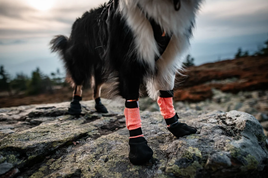 Non-stop dogwear Protector Bootie high black/orange 4 Stück