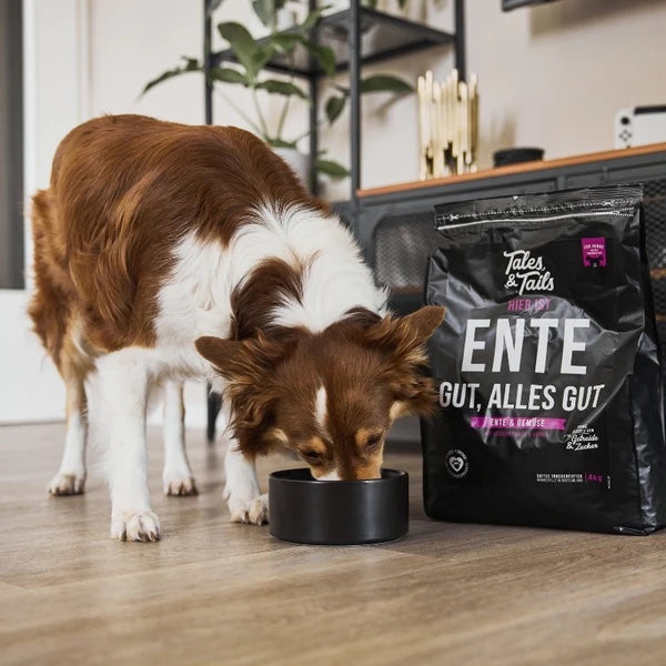 Tales&Tails Ente gut, alles gut