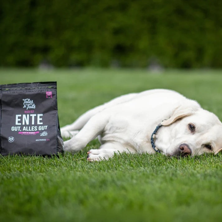 Tales&Tails Ente gut, alles gut