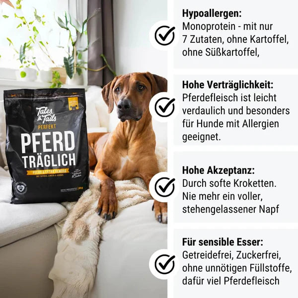 Tales&Tails Perfekt Pferdträglich