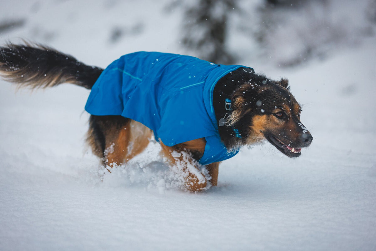 Ruffwear Vert™ Jacket Blue Pool
