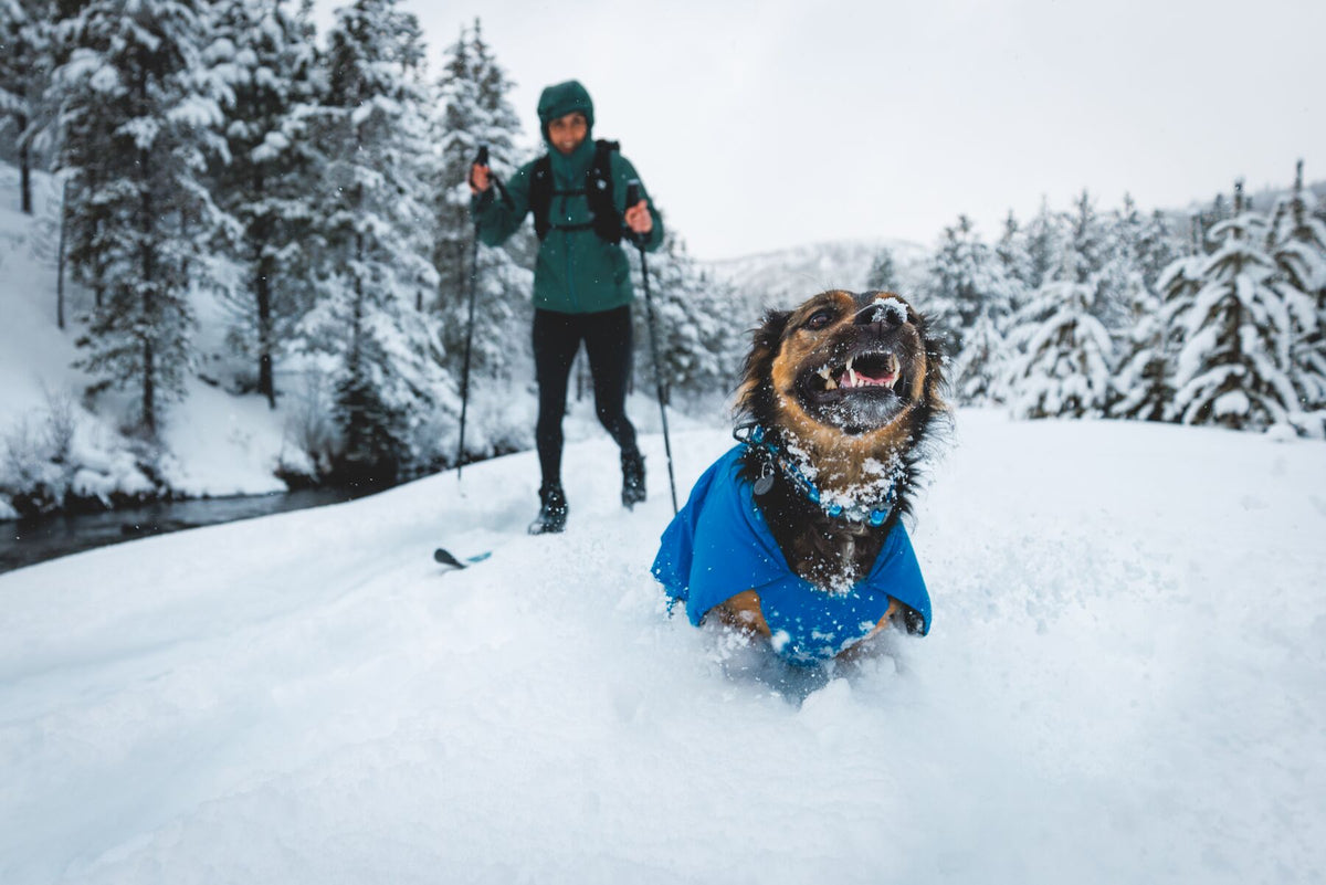 Ruffwear Vert™ Jacket Blue Pool