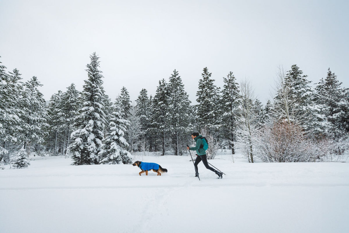 Ruffwear Vert™ Jacket Blue Pool