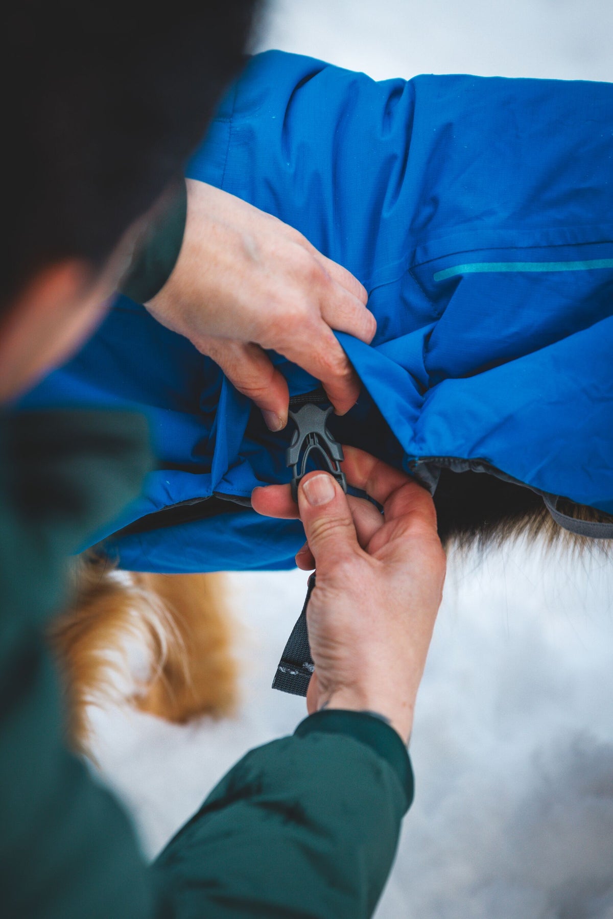 Ruffwear Vert™ Jacket Blue Pool