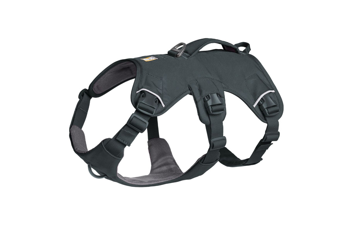 Ruffwear Web Master™ Harness Basalt Gray