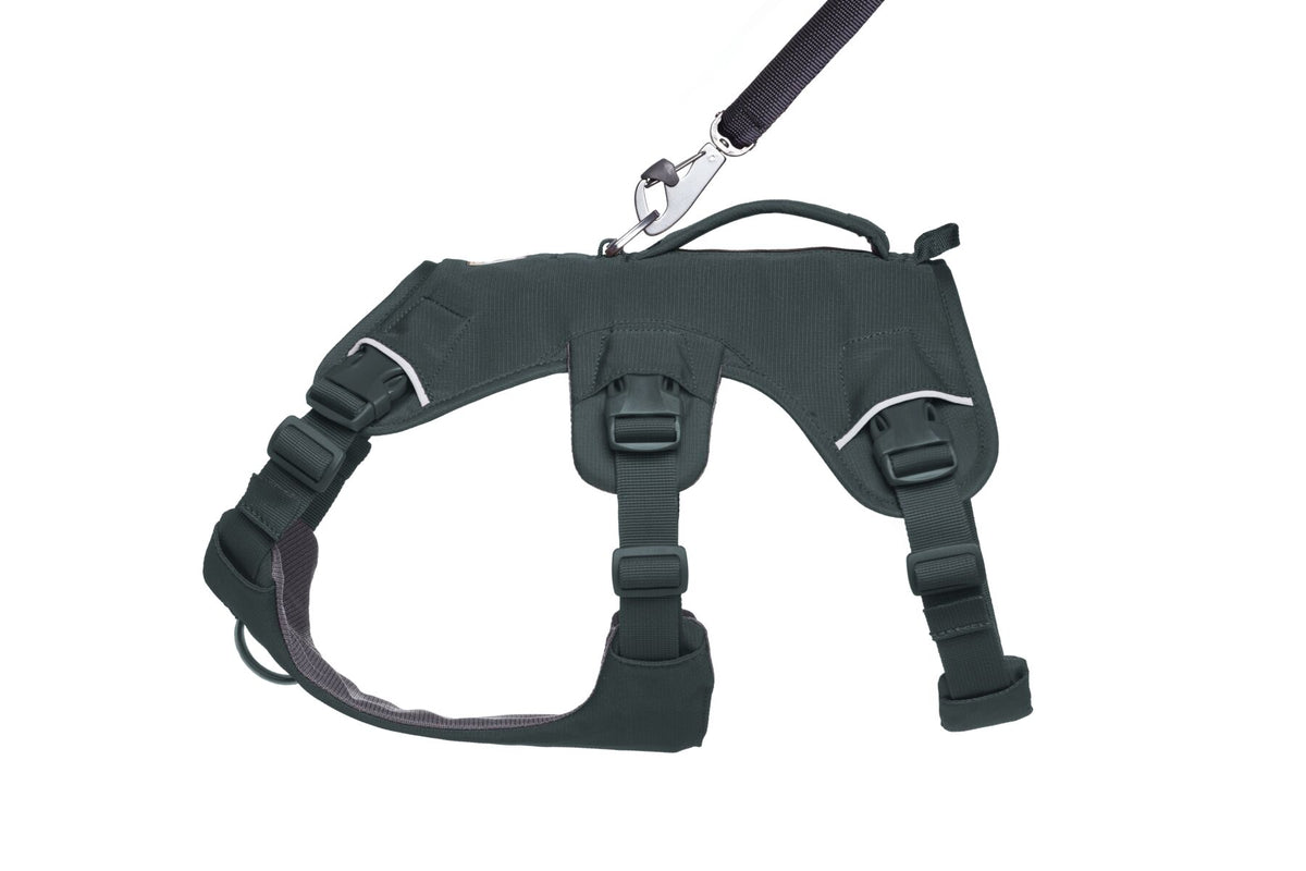 Ruffwear Web Master™ Harness Basalt Gray