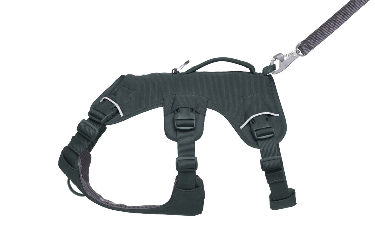 Ruffwear Web Master™ Harness Basalt Gray
