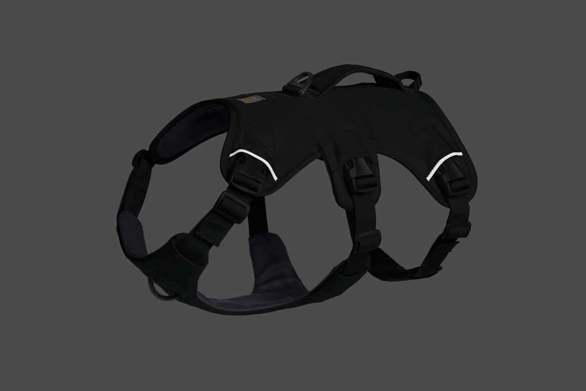 Ruffwear Web Master™ Harness Basalt Gray