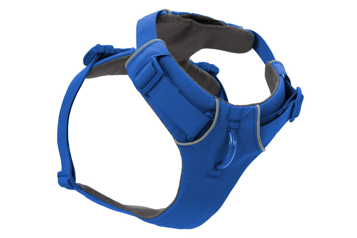 Ruffwear Front Range® Harness Blue Pool