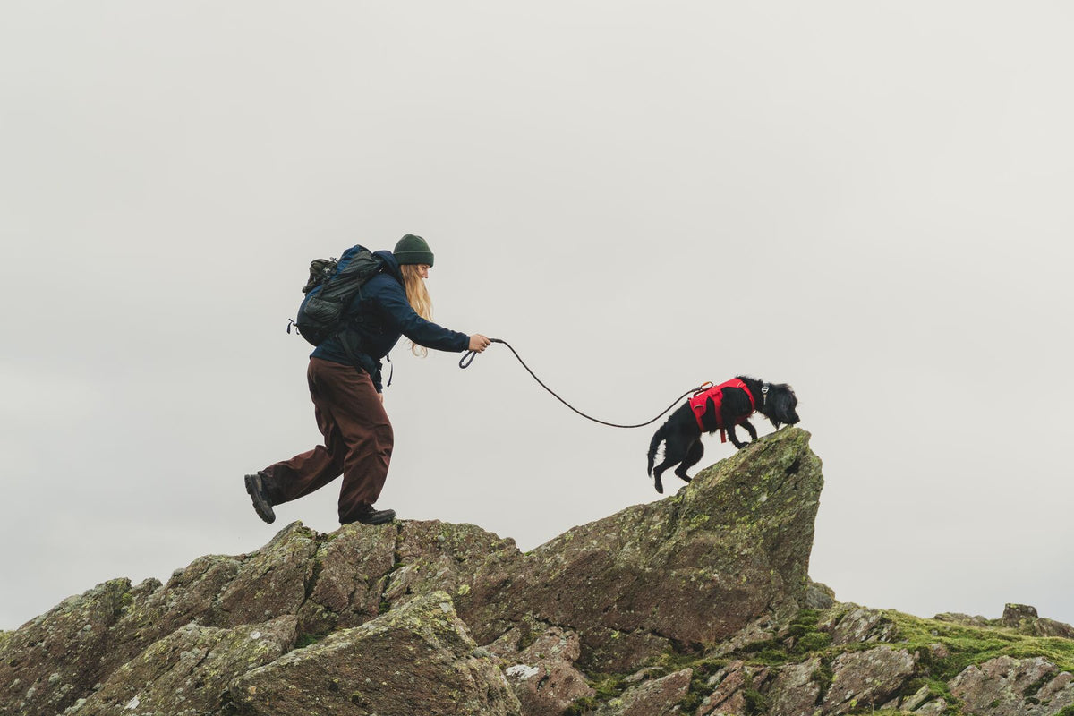 Ruffwear Knot-a-Leash™ Obsidian Black