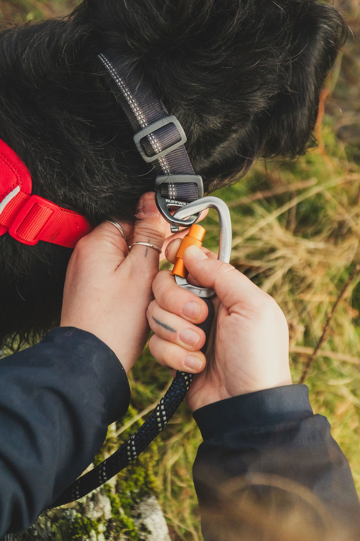 Ruffwear Knot-a-Leash™ Obsidian Black