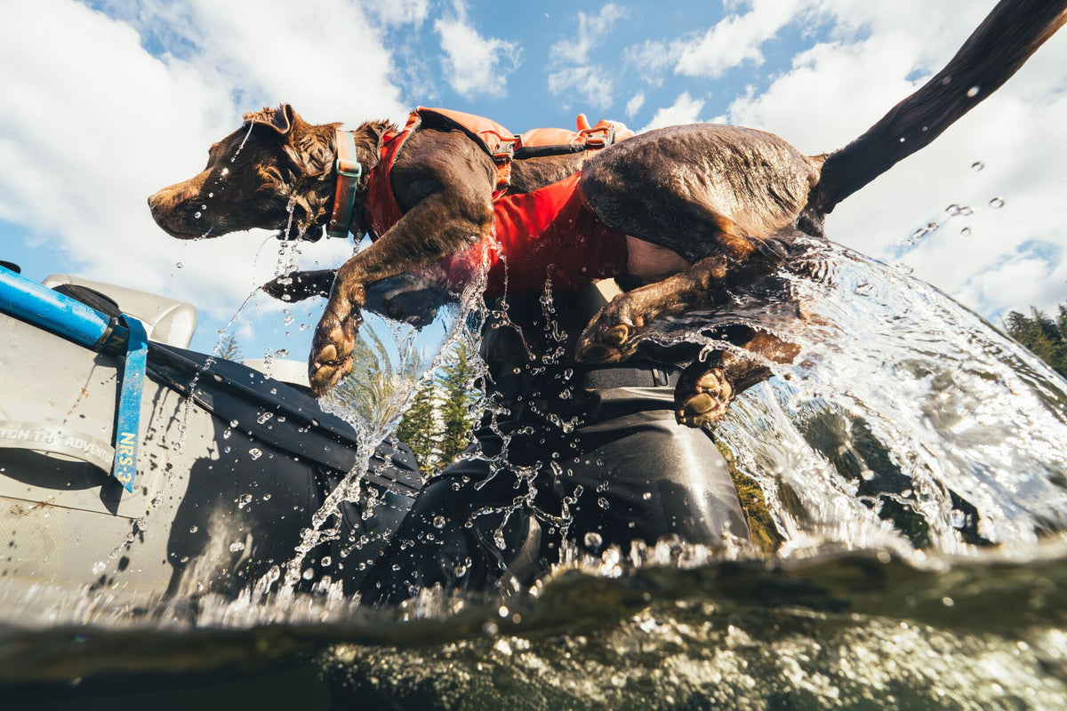 Ruffwear Confluence™ Support Jacket Tangelo Orange