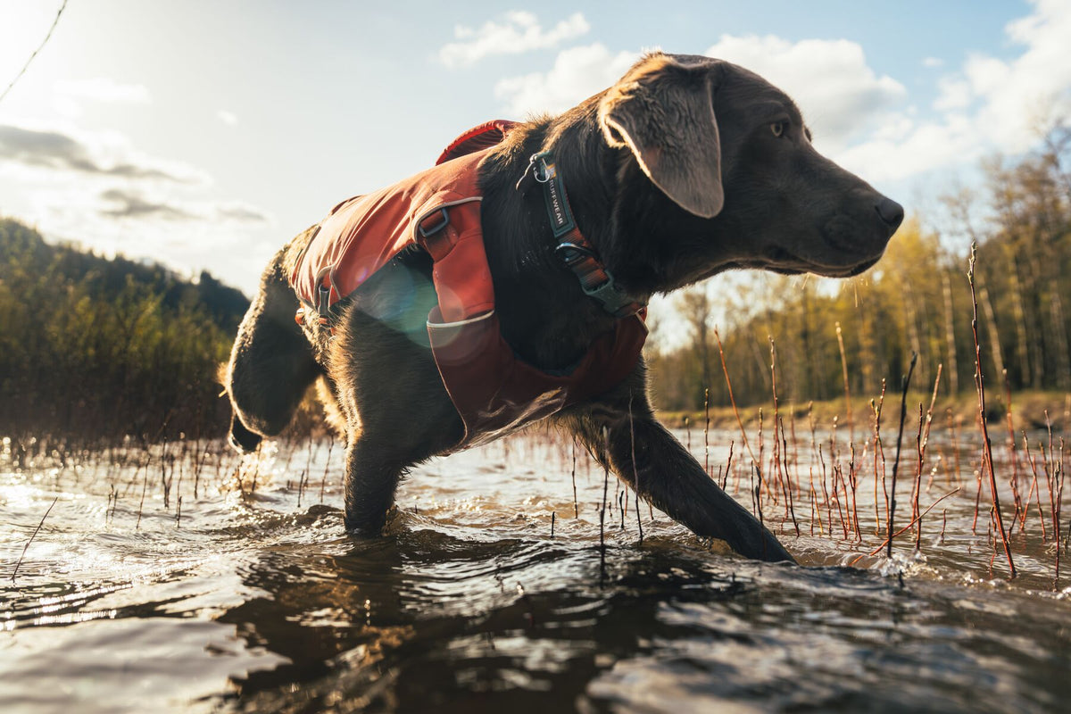 Ruffwear Confluence™ Support Jacket Tangelo Orange
