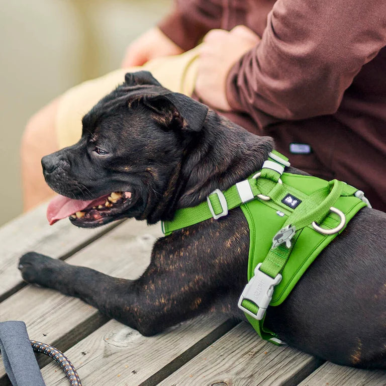 Hurtta Weekend Warrior Harness II desert