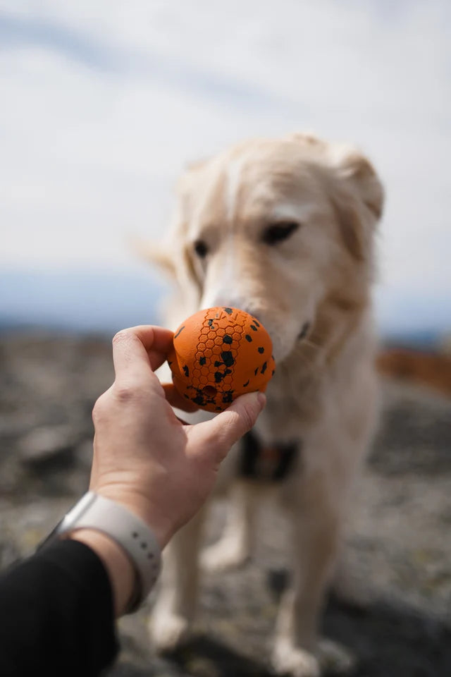 Non-stop dogwear Dog Ball orange/black