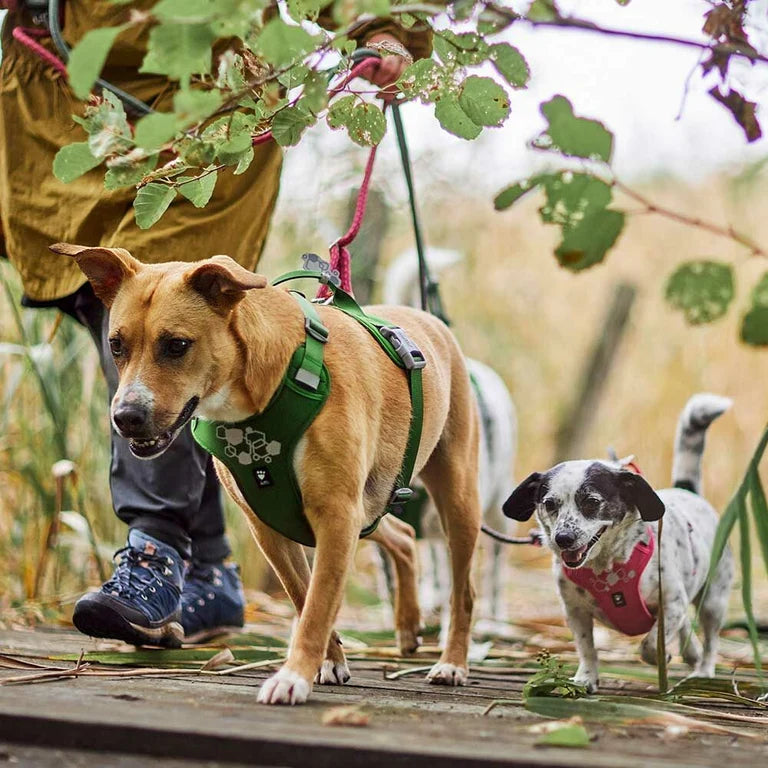 Hurtta Weekend Warrior Harness II ruby