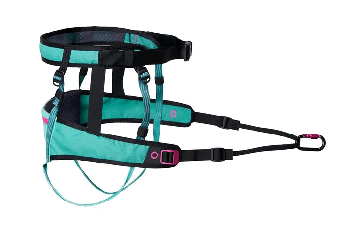 Non-stop dogwear Canix Belt 2.0 aqua/pink