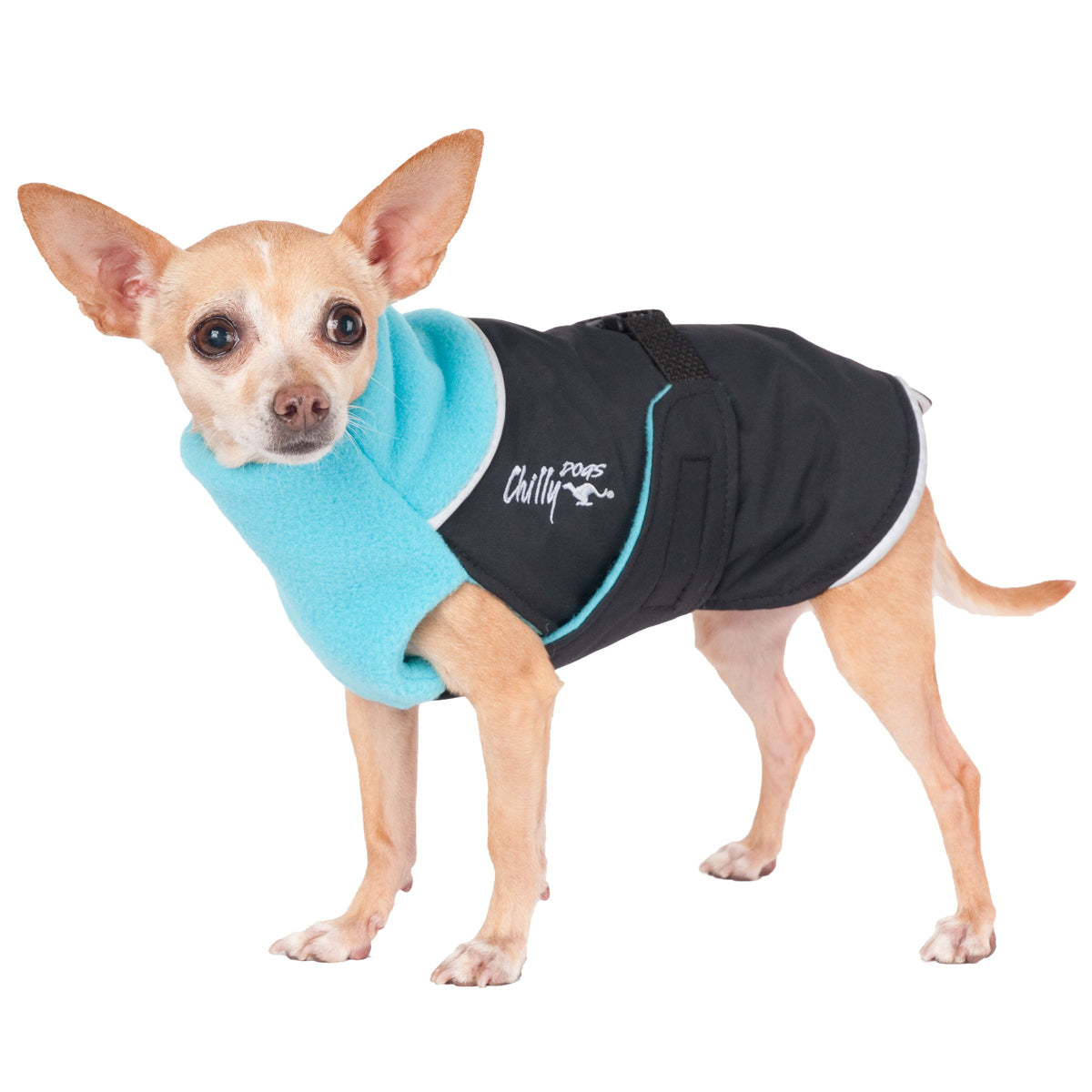 Chilly Dogs Great White North STANDARD - Black/Red Shell