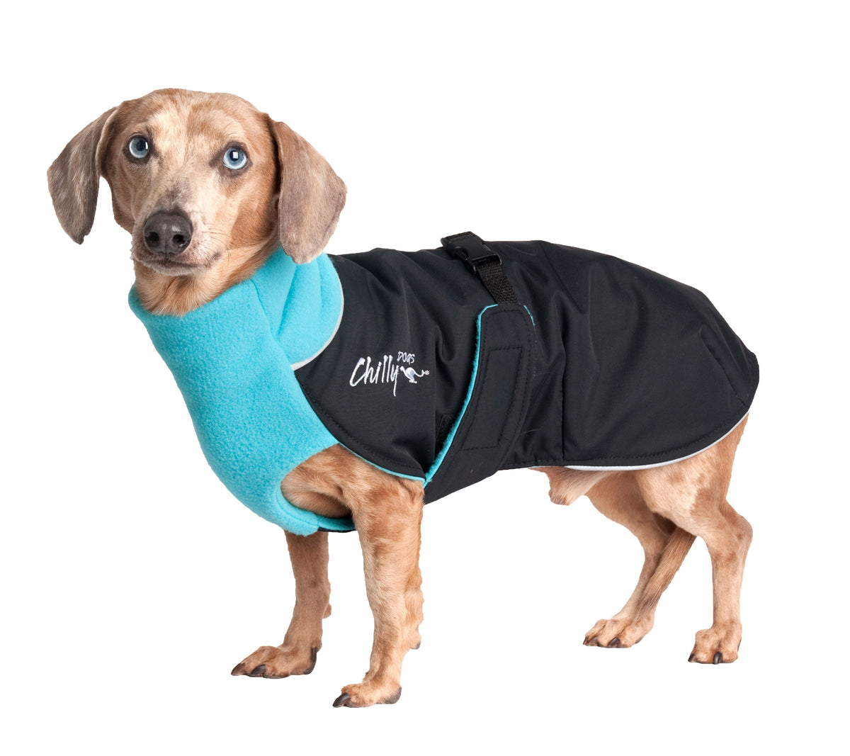 Chilly Dogs Great White North STANDARD - Black/Red Shell