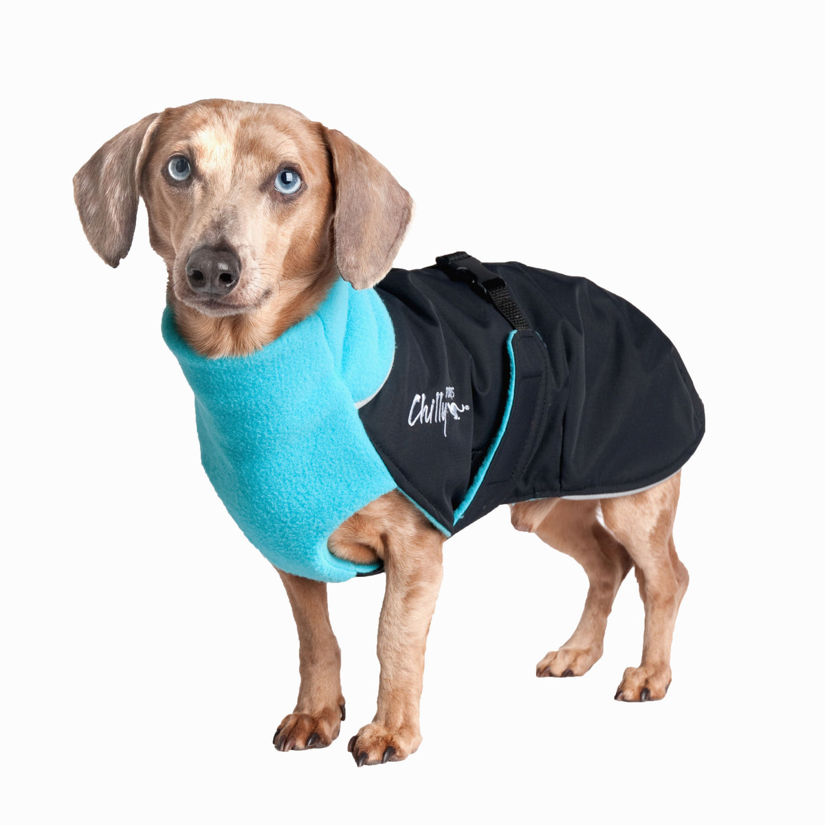 Chilly Dogs Great White North STANDARD - Black/Red Shell