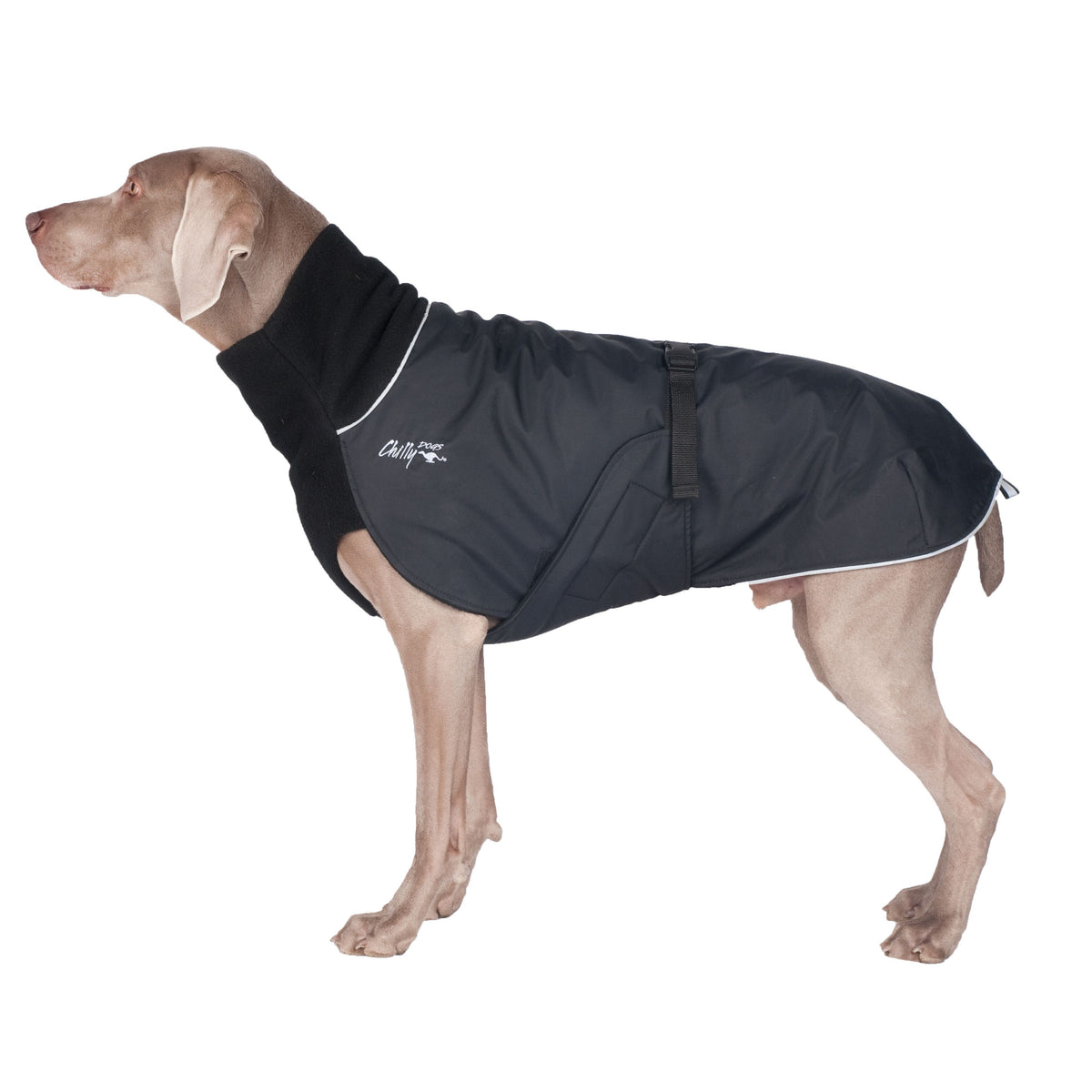 Chilly Dogs Great White North Long & Lean (extra lang) - Blue Jay/Black Shell