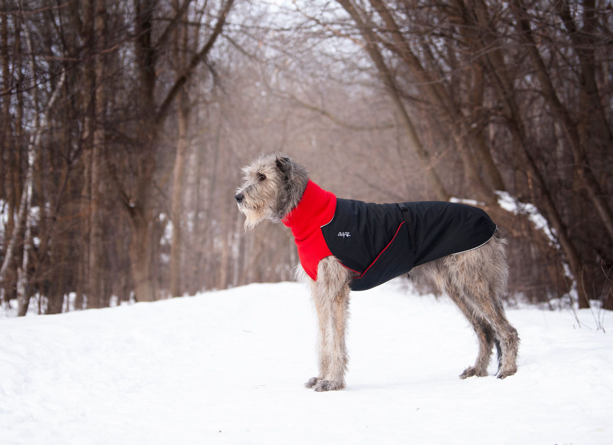 Chilly Dogs Great White North Long & Lean (extra lang) - Black/Black Shell