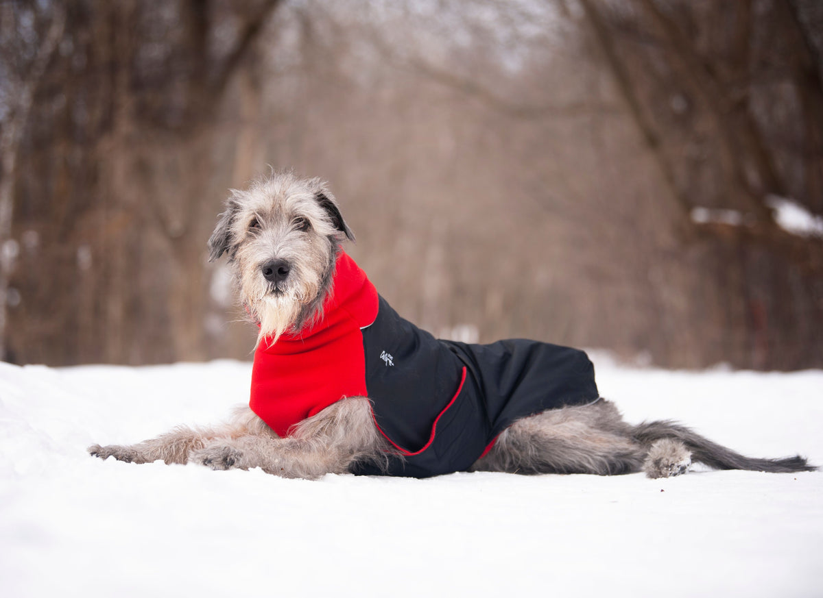 Chilly Dogs Great White North Long & Lean (extra lang) - Black/Black Shell