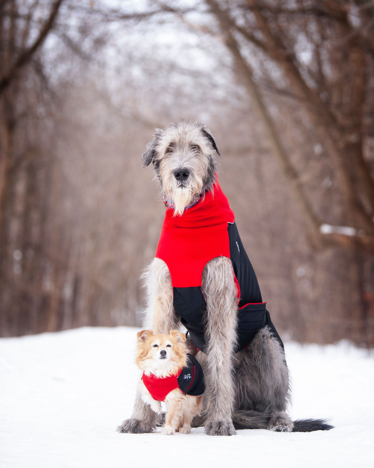 Chilly Dogs Great White North Long & Lean (extra lang) - Black/Black Shell