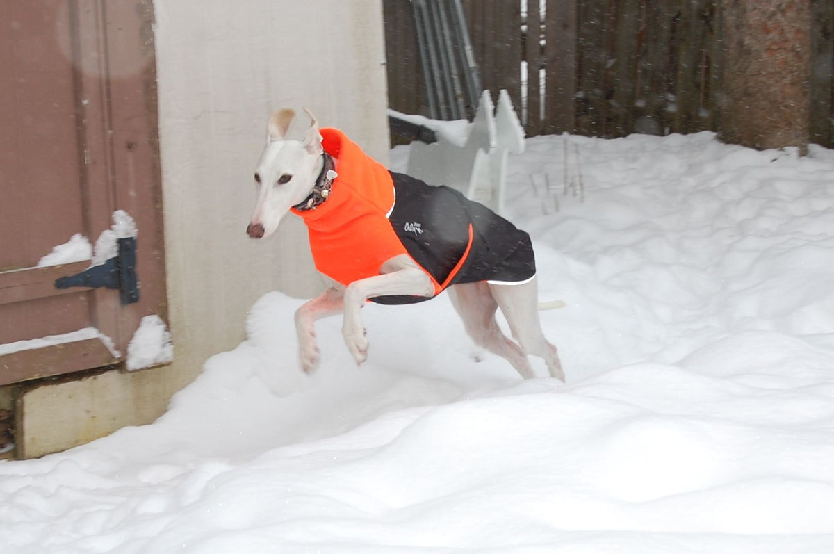 Chilly Dogs Great White North Long & Lean (extra lang) - Black/Black Shell
