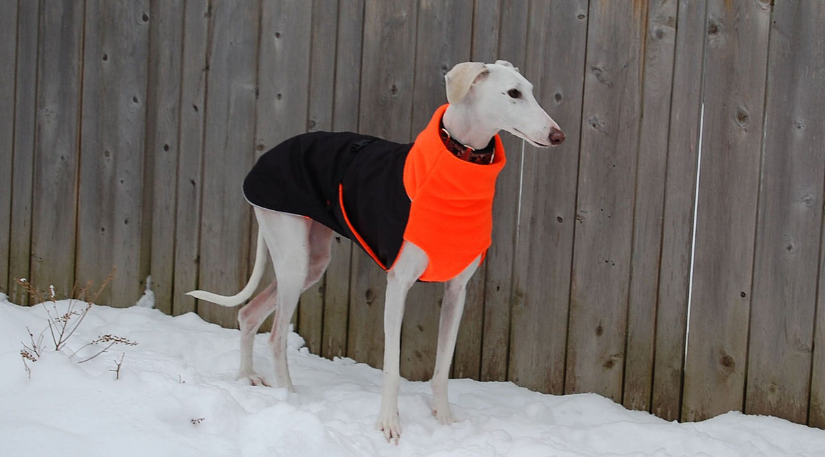 Chilly Dogs Great White North Long & Lean (extra lang) - Black/Black Shell