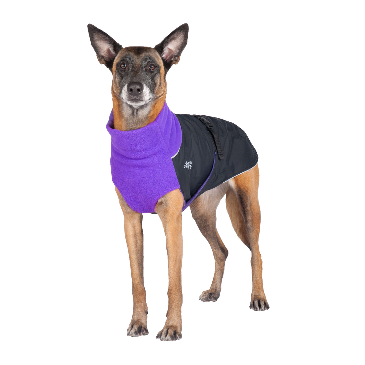 Chilly Dogs Great White North STANDARD - Black/Red Shell