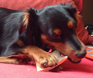 Larsson Elk-Schäufle - Geweih Hunde Snack