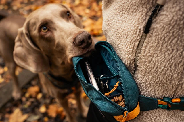 Non-stop dogwear Trail Quest Fanny Pack RP signature edition teal/oak