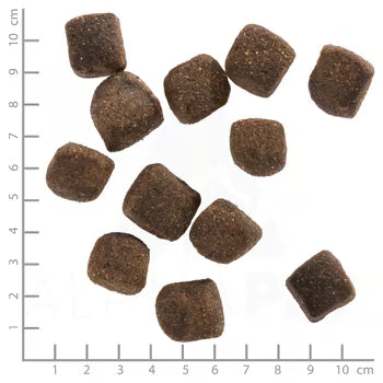 Wolfsblut Squashies Wide Plain 300g