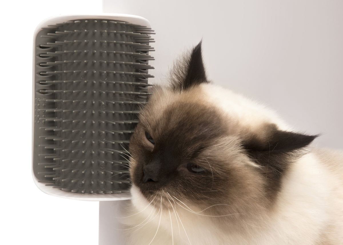 Hagen Catit Senses 2.0 Self Groomer