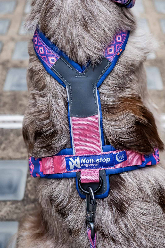Non-stop dogwear Line Harness 5.0 RP signature edition purple/pink