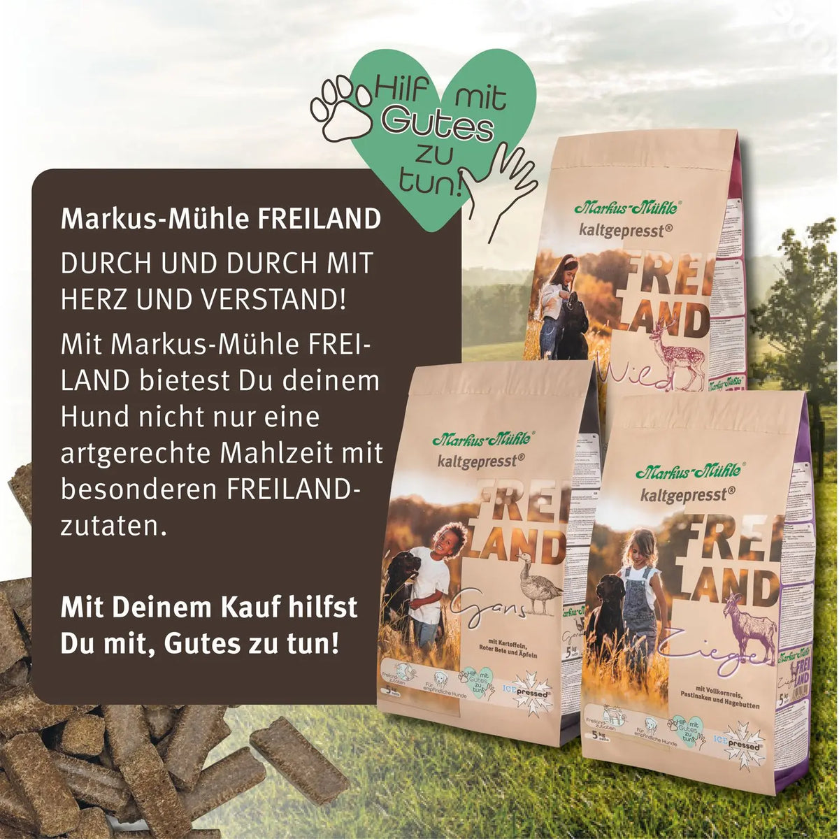 Markus Mühle Freiland Gans