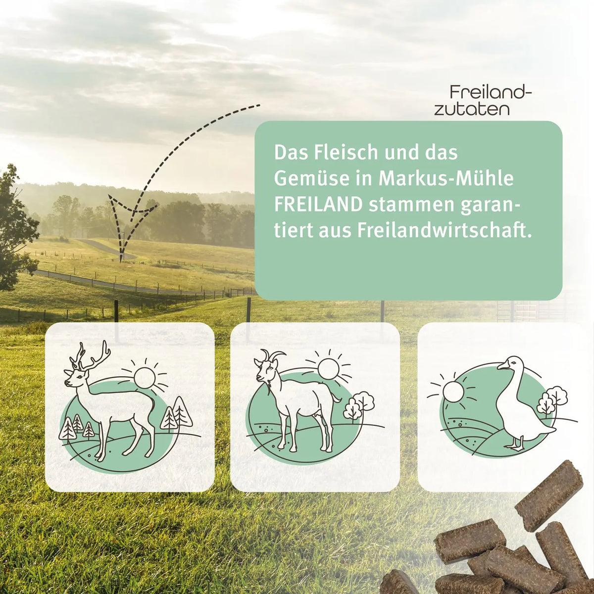 Markus Mühle Freiland Gans