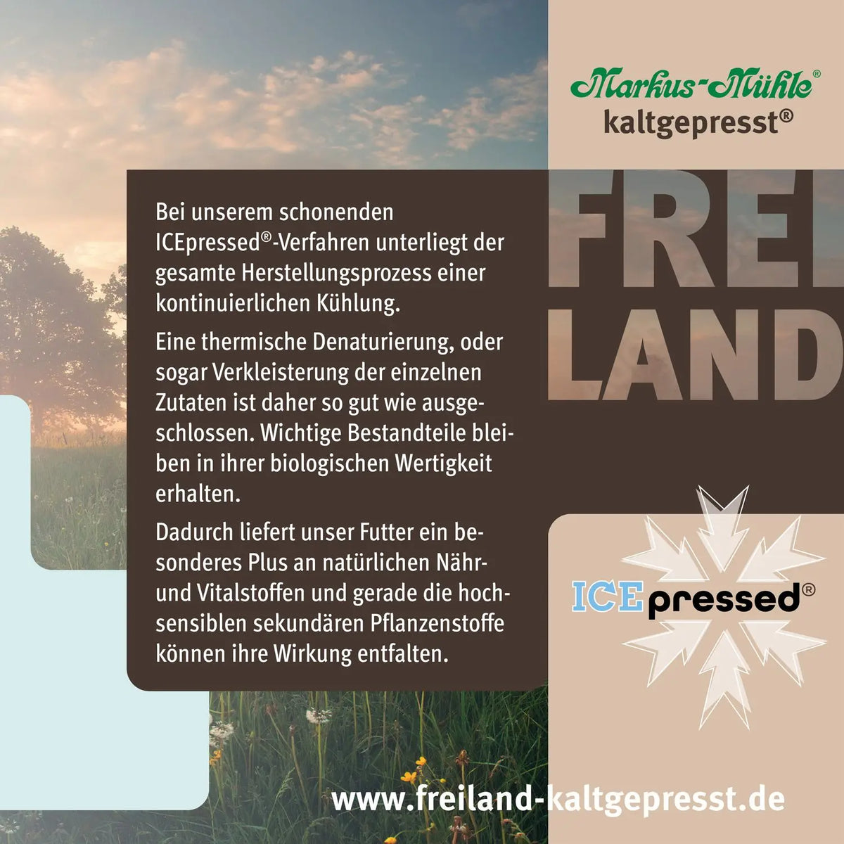 Markus Mühle Freiland Gans