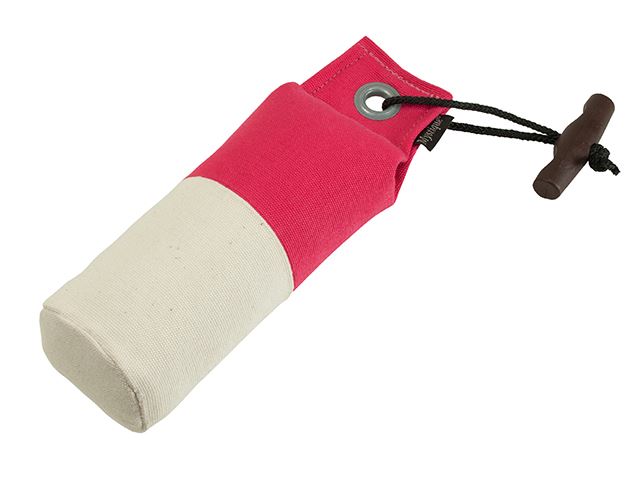 Mystique Dummy Marking