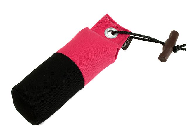 Mystique Dummy Marking