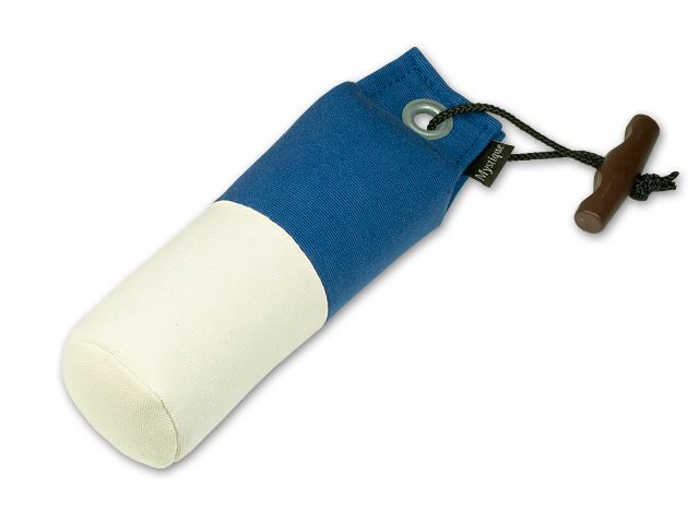 Mystique Dummy Marking