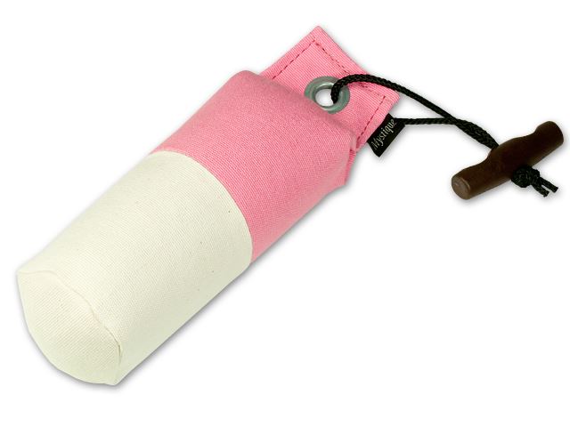 Mystique Dummy Marking